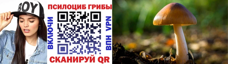 OMG ТОР Белореченск Галлюциногенные грибы GOLDEN TEACHER