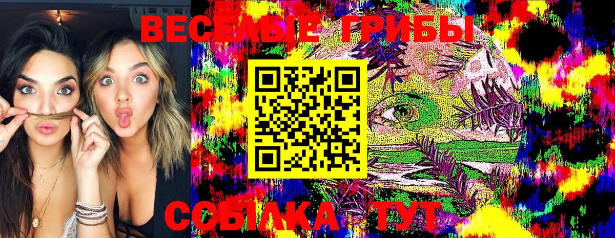 Белореченск  Псилоцибиновые грибы Psilocybine cubensis  Псилоцибиновые грибы Psilocybe  Вход с VPN 